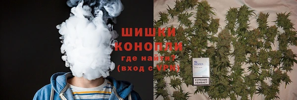 гашик Белоозёрский