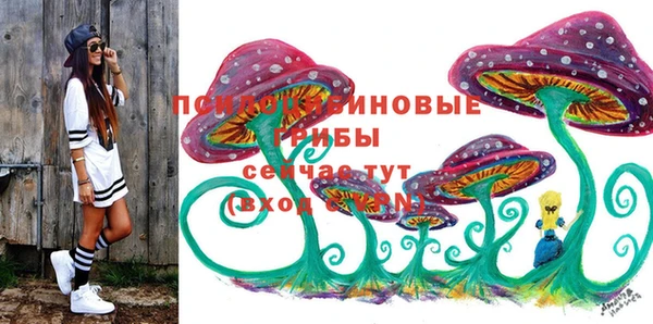 гидра Беломорск