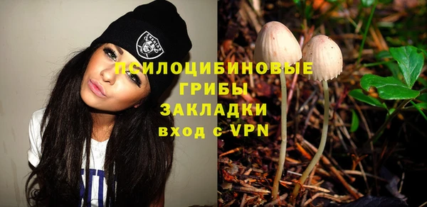 гашик Белоозёрский