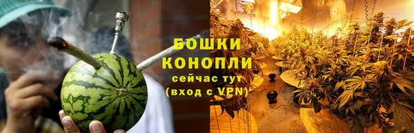 гашик Белоозёрский