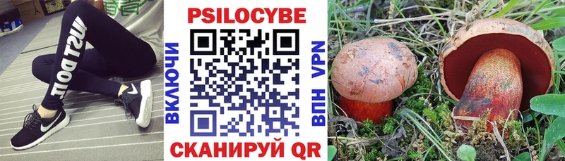 Псилоцибиновые грибы мухоморы  Высоковск 